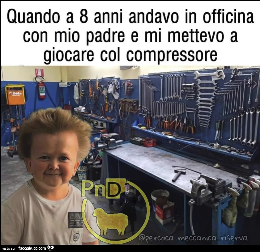 Vaccata