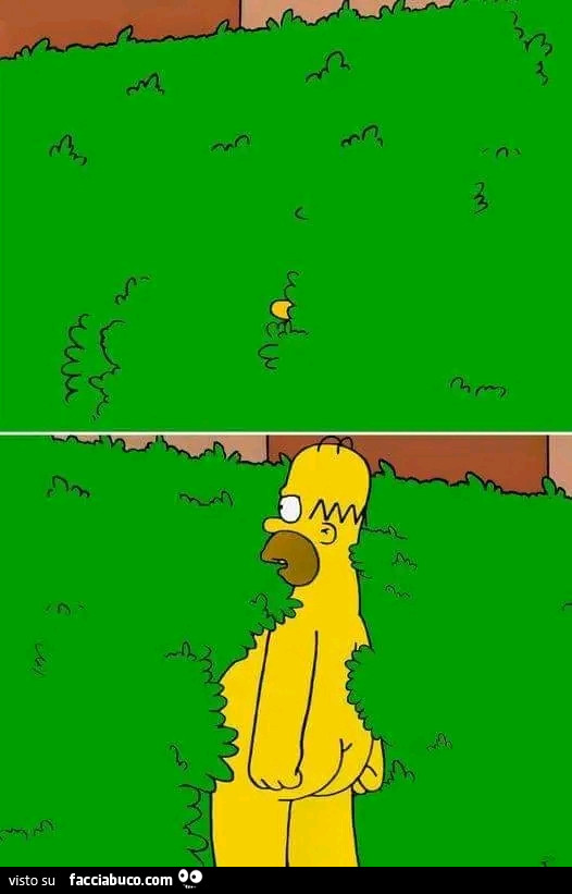 Homer nudo dietro l'aiuola