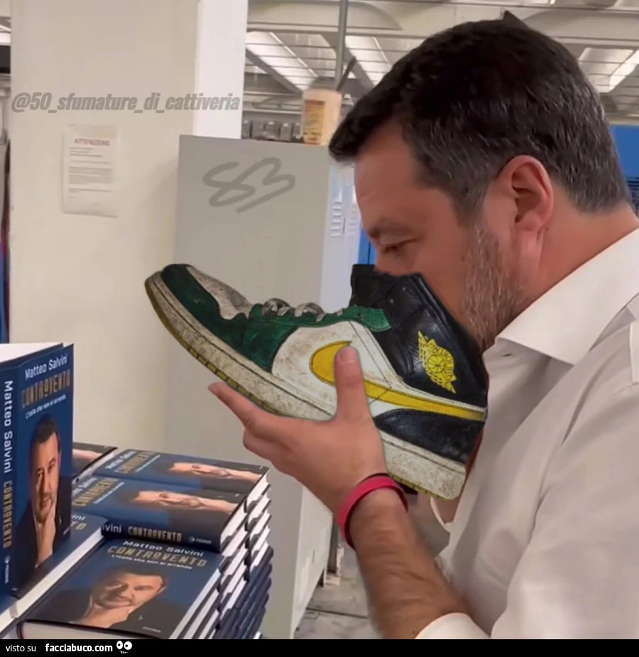 Salvini Controvento