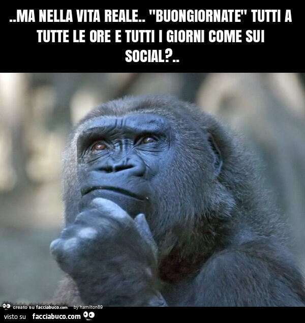 Ma nella vita reale. "Buongiornate" tutti a tutte le ore e tutti i giorni come sui social?