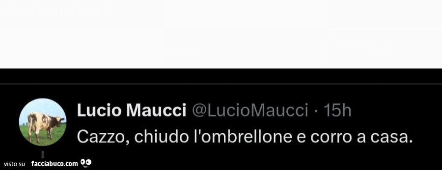 Vaccata