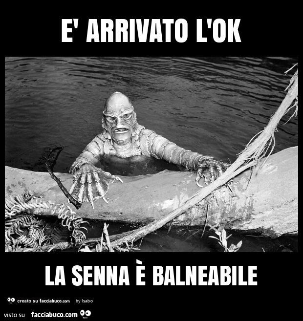 È arrivato l'ok la senna è balneabile