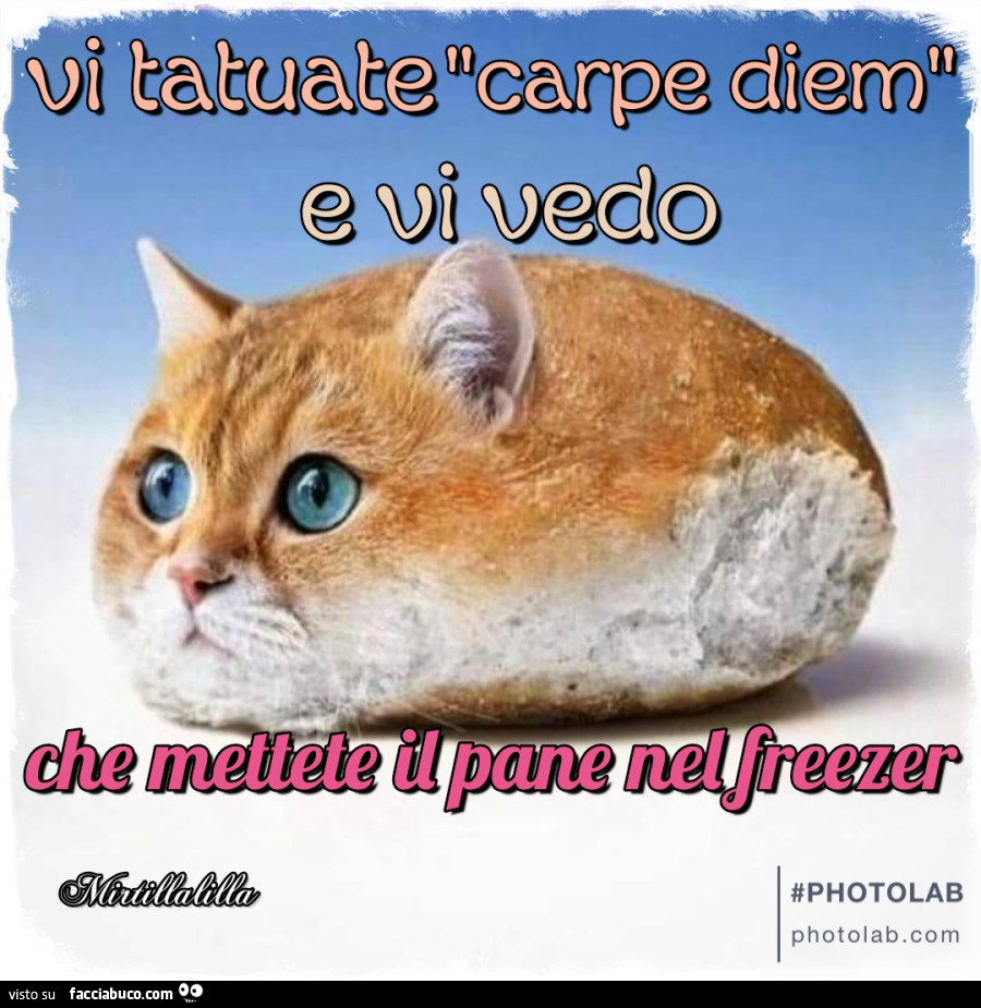 Carpe diem