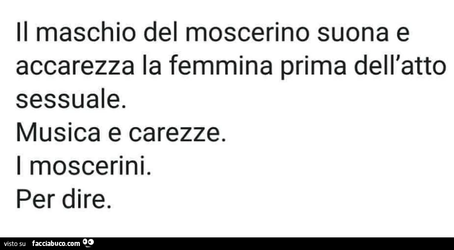 Il maschio del moscerino suona e accarezza la femmina prima dell'atto sessuale. Musica e carezze. I moscerini. Per dire
