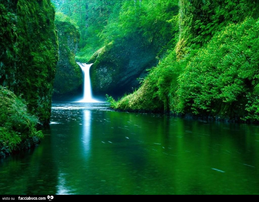 Cascata nella natura