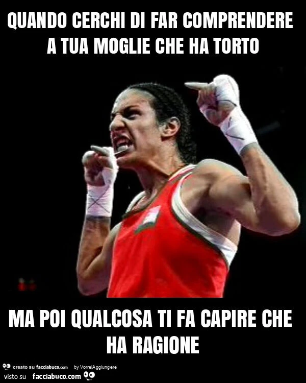 Quando cerchi di far comprendere a tua moglie che ha torto ma poi qualcosa ti fa capire che ha ragione