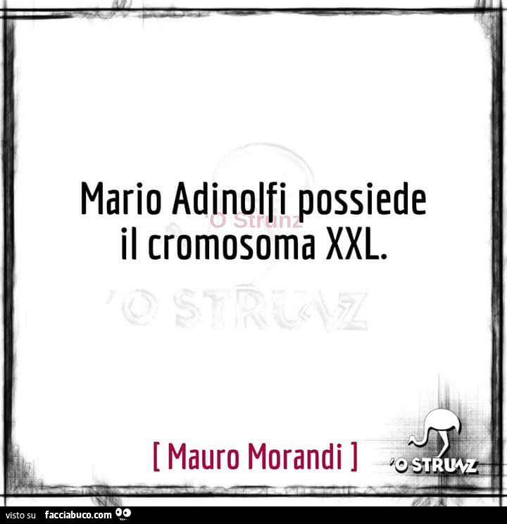 Mario Adinolfi possiede il cromosoma XXL