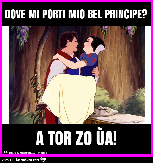 Dove mi porti mio bel principe? A tor zo ùa