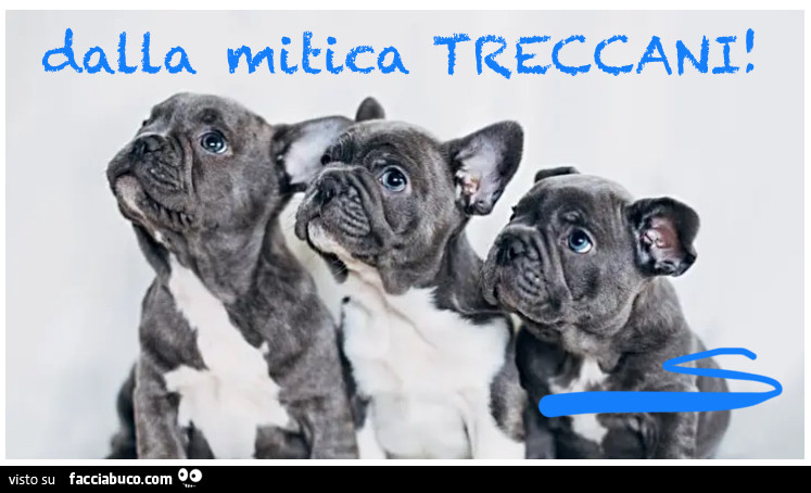 Treccani… una enciclopedia serie a contrario del nome! 🤣🤣