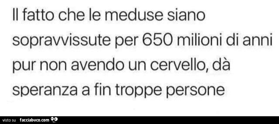 Il fatto che le meduse siano sopravvissute per 650 milioni di anni pur non avendo un cervello, dà speranza a fin troppe persone