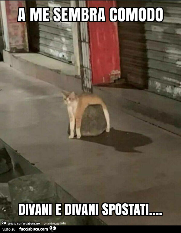 A me sembra comodo divani e divani spostati