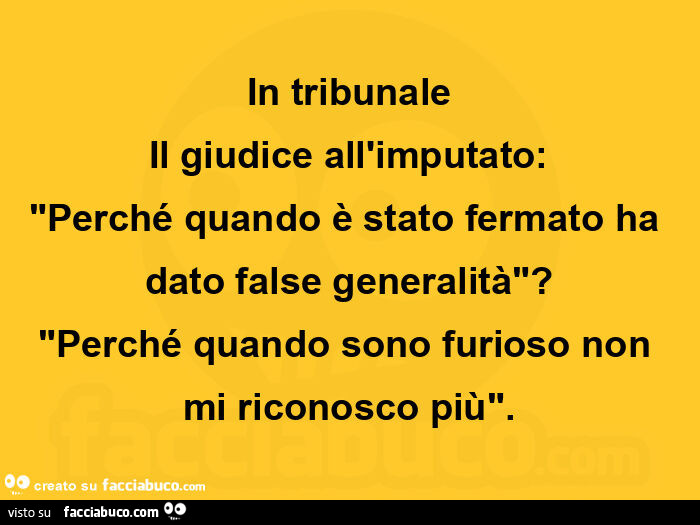 In tribunale il giudice all'imputato: perché quando è stato fermato ha dato false generalità? Perché quando sono furioso non mi riconosco più