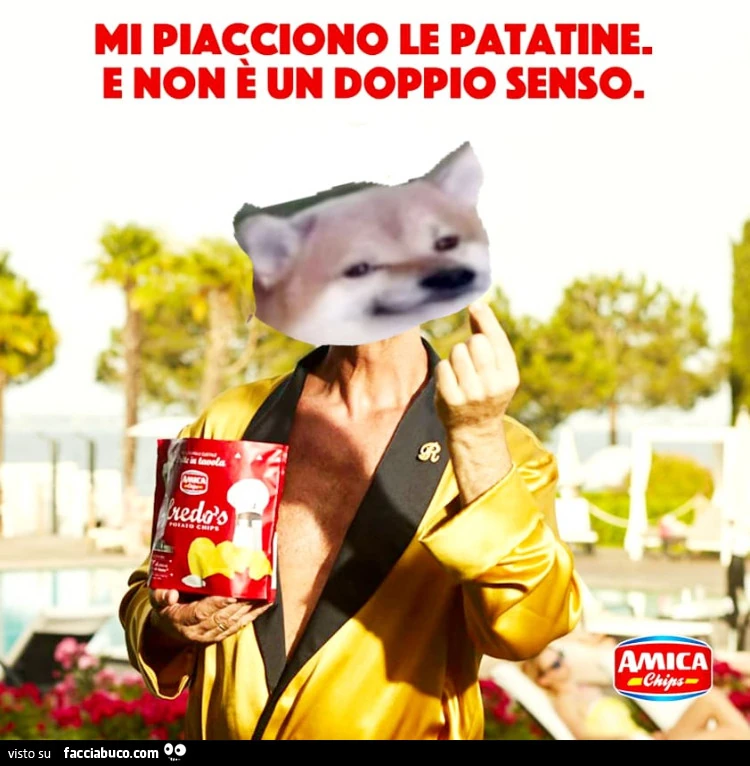 Vaccata