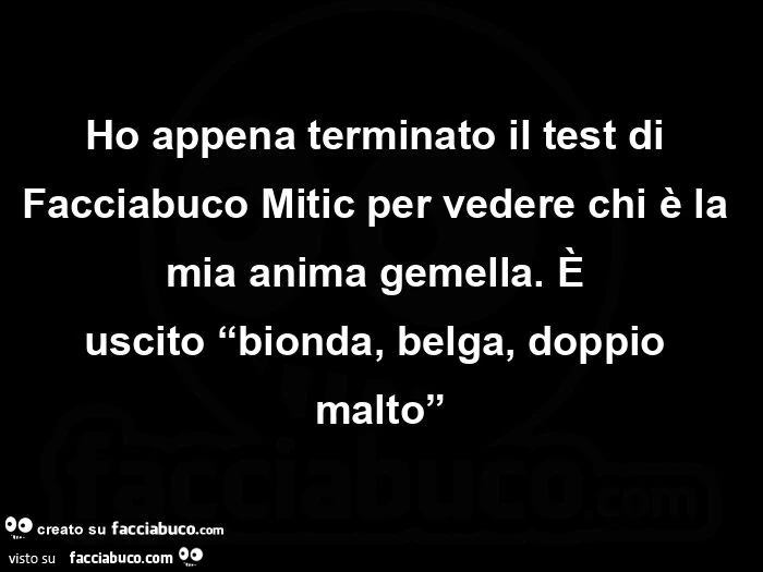 Ho appena terminato il test di facciabuco mitic per vedere chi è la mia anima gemella. È Uscito bionda, belga, doppio malto