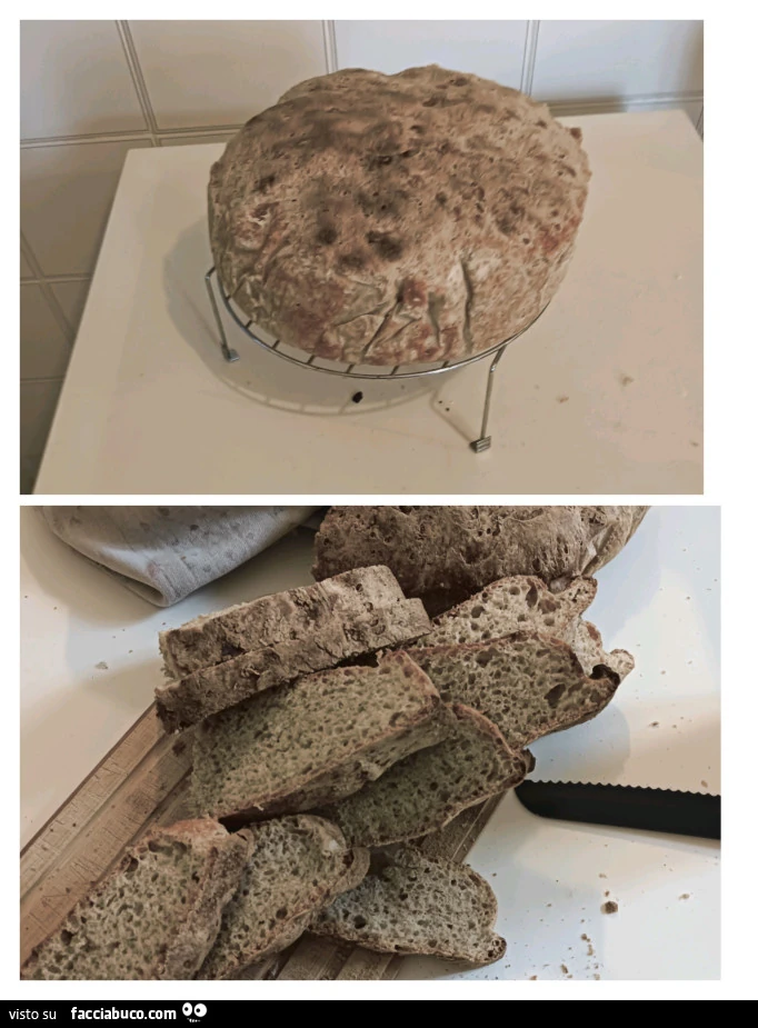 Vaccata