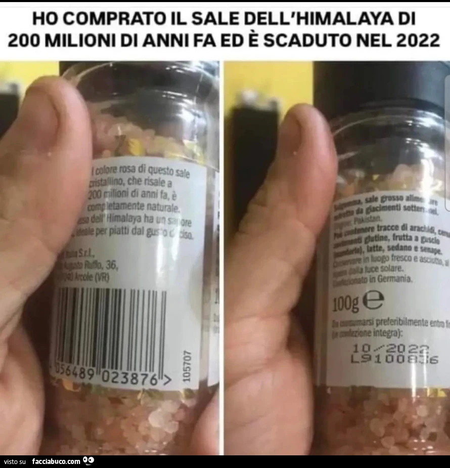 Vaccata