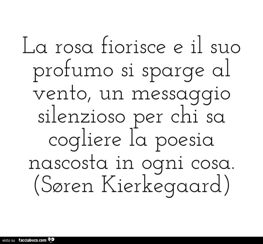 La rosa fiorisce e il suo profumo si sparge al vento, un messaggio silenzioso per chi sa cogliere la poesia nascosta in ogni cosa. Soren Kierkegaard