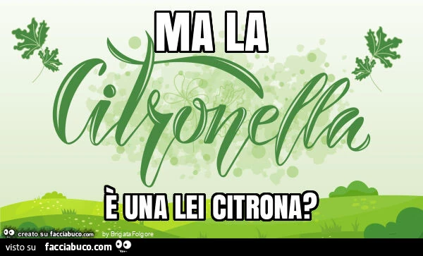 Ma la è una lei citrona?