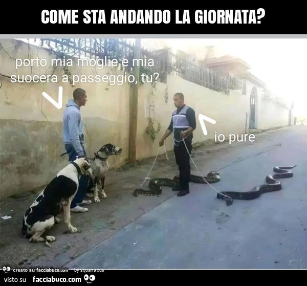 Come sta andando la giornata?