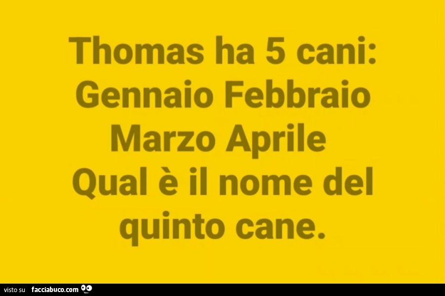 Thomas ha 5 cani: gennaio febbraio marzo aprile qual è il nome del quinto cane