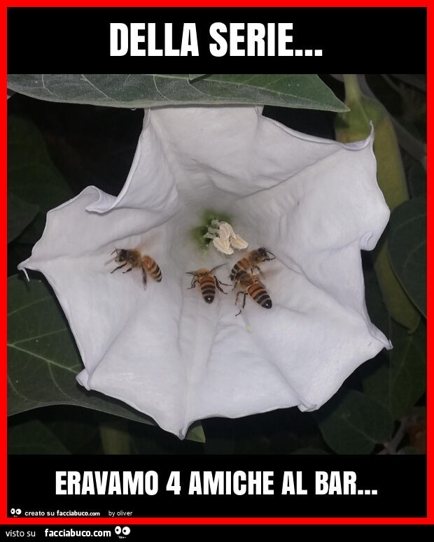 Della serie… eravamo 4 amiche al bar