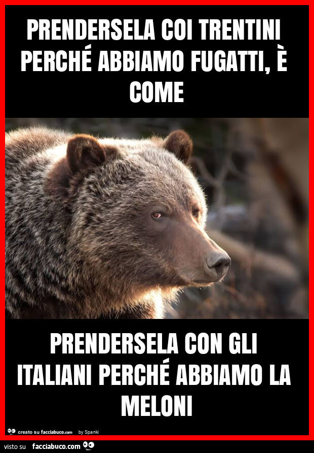 Prendersela coi trentini perché abbiamo fugatti, è come prendersela con gli italiani perché abbiamo la meloni