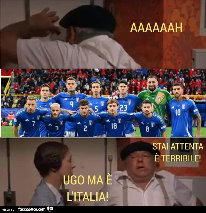 Vaccata