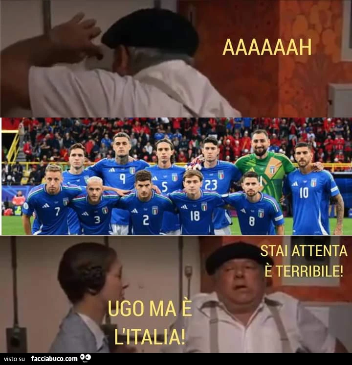 Vaccata