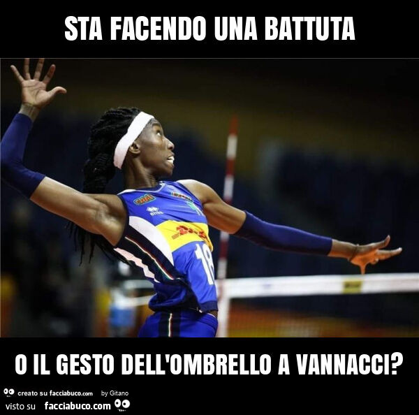 Sta facendo una battuta o il gesto dell'ombrello a vannacci?