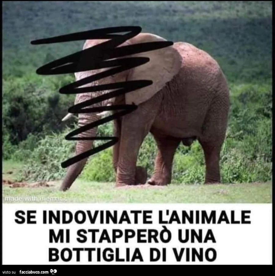 Indovinello