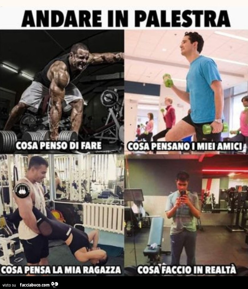 Palestra