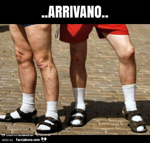 Arrivano