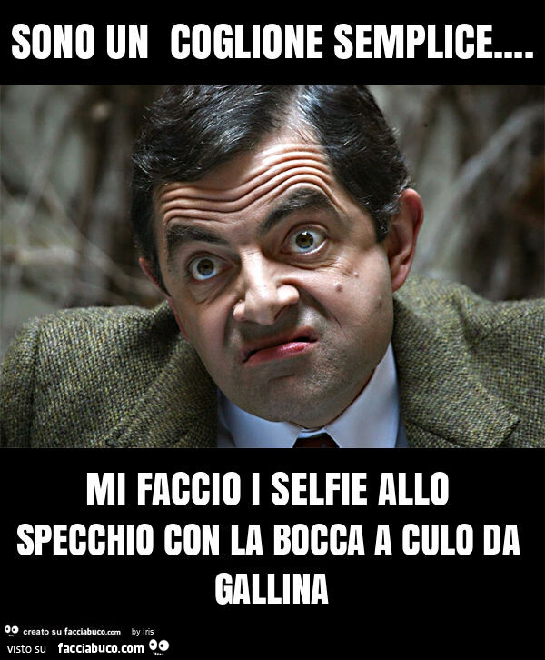 Sono un coglione semplice… mi faccio i selfie allo specchio con la bocca a culo da gallina