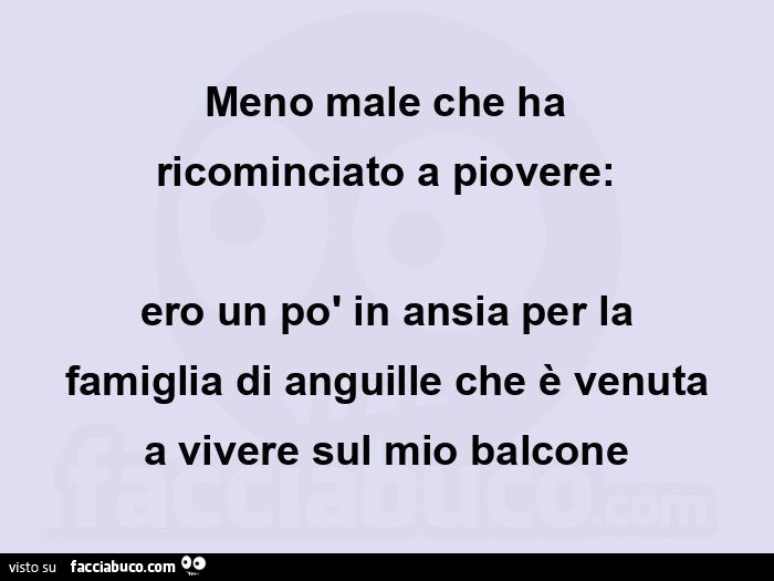 Meno male che ha ricominciato a piovere: ero un po' in ansia per la famiglia di anguille che è venuta a vivere sul mio balcone