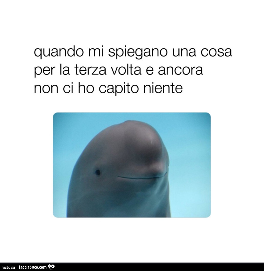 Quando mi spiegano una cosa per la terza volta e ancora non ci ho capito niente