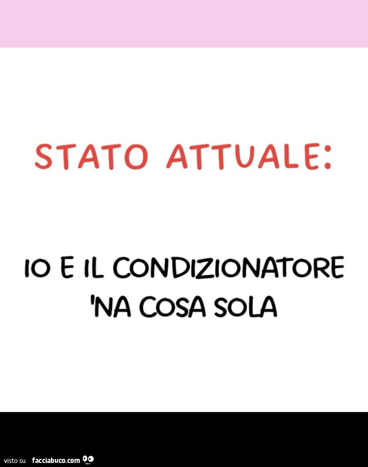 Stato attuale: io e il condizionatore 'na cosa sola