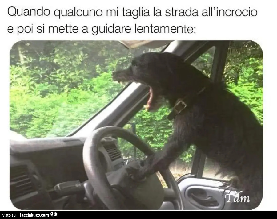 Quando qualcuno mi taglia la strada all'incrocio e poi si mette a guidare lentamente