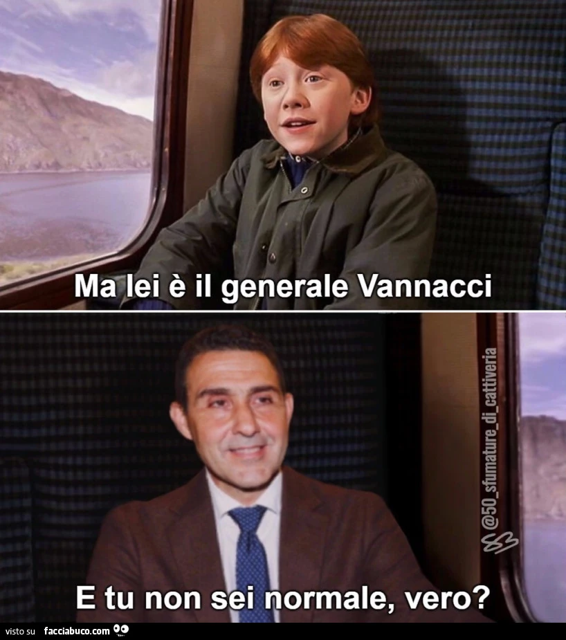 Ma lei รจ il generale Vannacci