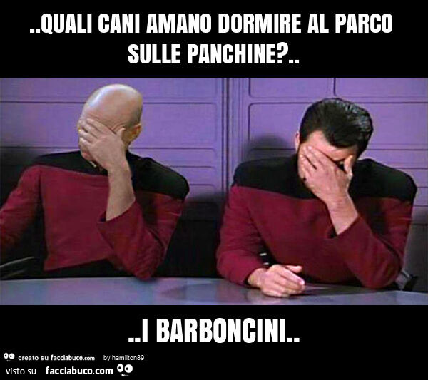 Quali cani amano dormire al parco sulle panchine? … i barboncini