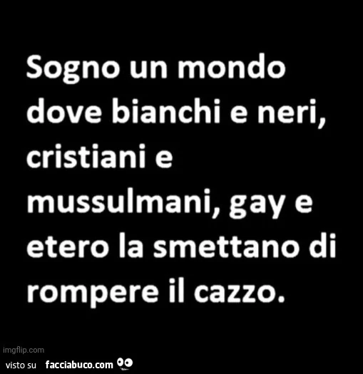 Sogno un mondo dove bianchi e neri, cristiani e mussulmani, gay e etero la smettano di rompere il cazzo