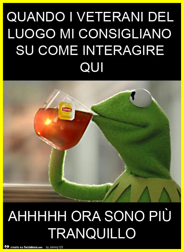 Quando i veterani del luogo mi consigliano su come interagire qui ahhhhh ora sono più tranquillo