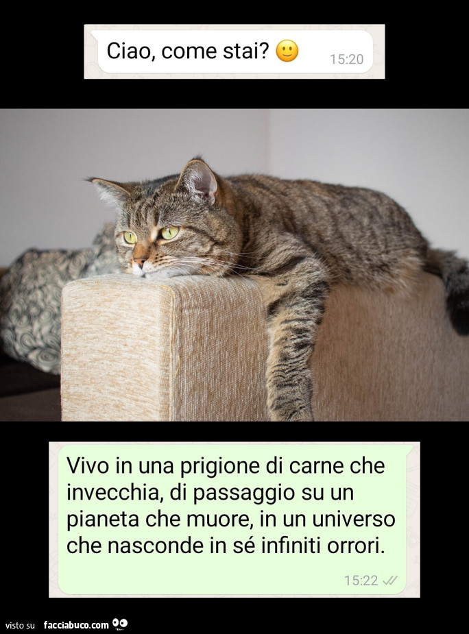 Vaccata