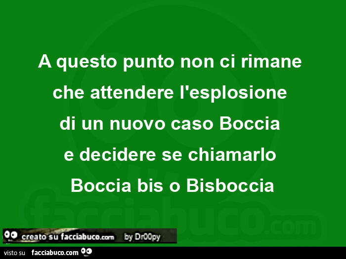 A questo punto non ci rimane  che attendere l'esplosione di un nuovo caso Boccia e decidere se chiamarlo Boccia bis o Bisboccia