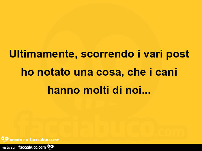 Ultimamente, scorrendo i vari post ho notato una cosa, che i cani hanno molti di noi…  