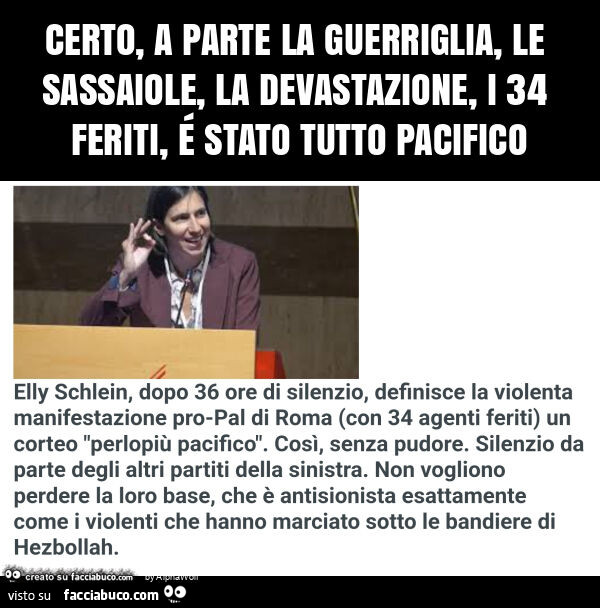 Certo, a parte la guerriglia, le sassaiole, la devastazione, i 34 feriti, é stato tutto pacifico