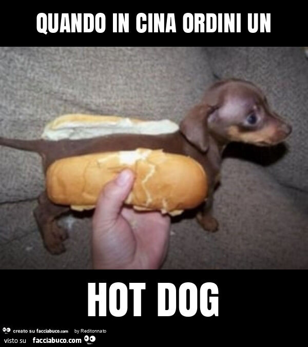 Quando in cina ordini un hot dog