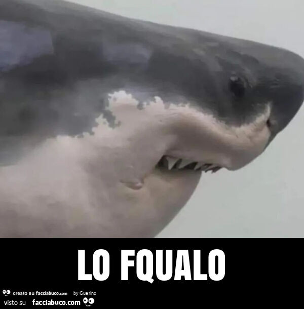 Lo fqualo