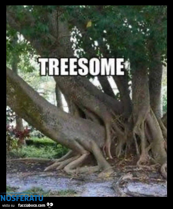 Threesome tra alberi