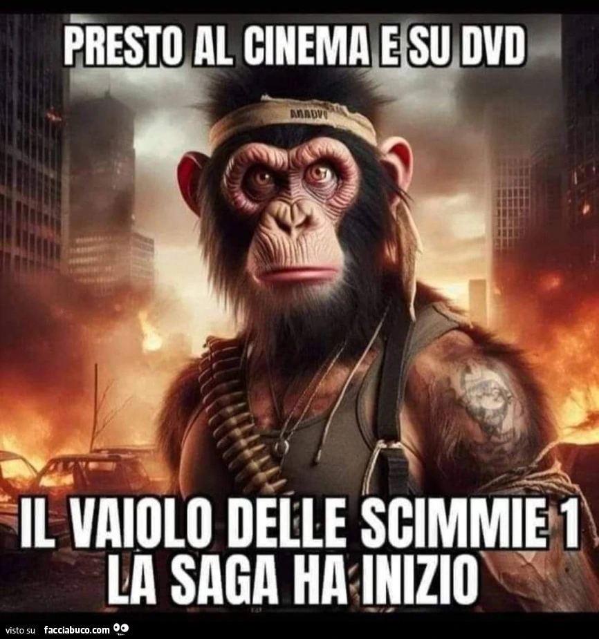 Vaccata