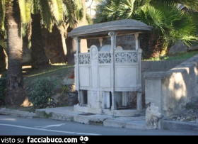 Vaccata